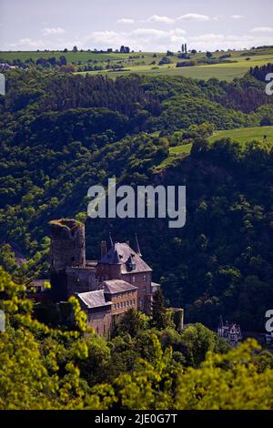 Vista del castello di Katz, Patersberg, patrimonio dell'umanità dell'UNESCO, alta valle del Medio Reno, Renania-Palatinato, Germania Foto Stock