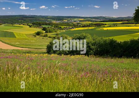 Paesaggio culturale nel distretto Reno-Lahn, Renania-Palatinato, Germania Foto Stock