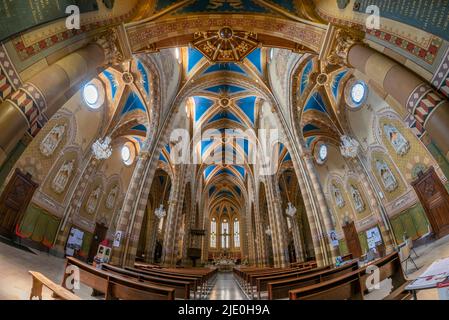 Monforte d'Alba, langhe, Italia - 02 maggio 2022: Veduta interna della chiesa parrocchiale Madonna della neve. Stile neo-gotico, Fish Eye Foto Stock