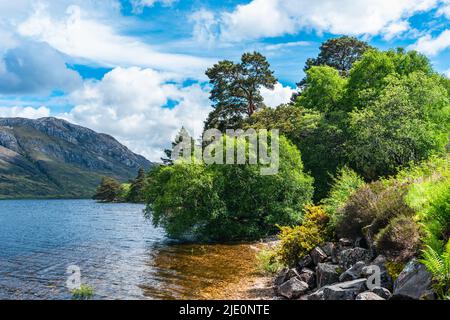 Loch Maree e Slioch, Wester Ross, Beinn Eighe National Nature Reserve, Highland, Scozia, Regno Unito Foto Stock