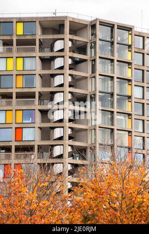 Sheffield, Regno Unito – 13 novembre 2021: Alberi d'autunno, i colori delle Urban Splash rigenerato Park Hill Flats Foto Stock