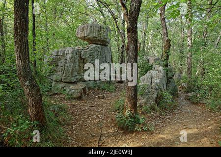 Francia, Ardèche Paiulive boschi con caos roccioso Foto Stock