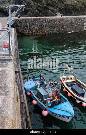 Pescatore che offloading la sua cattura a Mullion Harbour, Cornovaglia Foto Stock