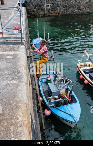 Pescatore che offloading la sua cattura a Mullion Harbour, Cornovaglia Foto Stock