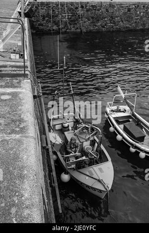 Pescatore che offloading la sua cattura a Mullion Harbour, Cornovaglia Foto Stock