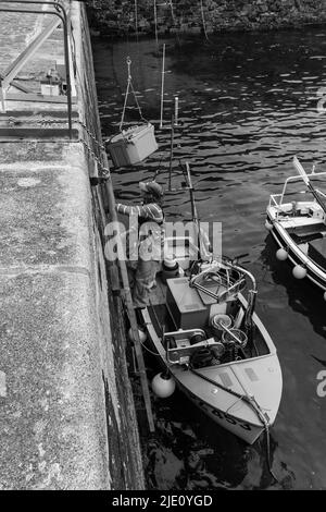 Pescatore che offloading la sua cattura a Mullion Harbour, Cornovaglia Foto Stock