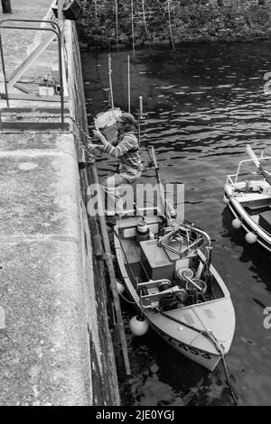 Pescatore che offloading la sua cattura a Mullion Harbour, Cornovaglia Foto Stock