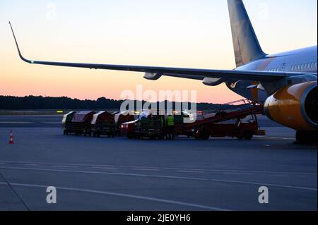 Amburgo, Germania. 23rd giugno 2022. I dipendenti dell'aeroporto scaricano le valigie da un aereo su diversi carrelli. Credit: Jonas Walzberg/dpa/Alamy Live News Foto Stock