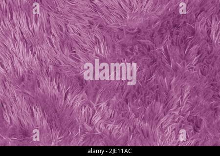Pelo viola con pelo lungo. Foto Stock