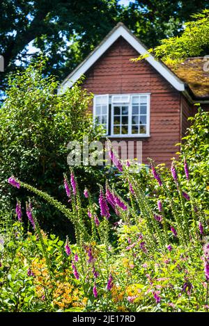 Inizio estate giardino con foxguants e dettaglio di una casa, RHS Wisley Garden, Surrey, Inghilterra, Regno Unito Foto Stock