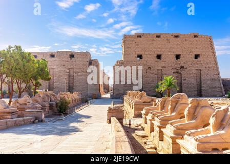 Ingresso al Tempio di Karnak e la Via dei festeggiamenti del Re o Viale di Sphinxes, Luxor, Egitto. Foto Stock