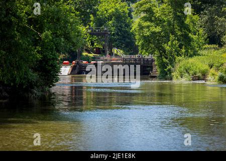 Teston Lock sul fiume Medway vicino Maidstone nel Kent, Inghilterra Foto Stock