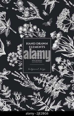 Tè erbe disegno scheda modello. Camomilla, cicoria, rosa cannella, ecc. disegnata a mano Illustrazione Vettoriale