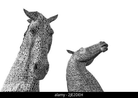 Falkirk, Regno Unito - 20 giugno, 2022: Primo piano dettaglio dei Kelpies a Falkirk con testa a cavallo su uno sfondo isolato e spazio copia Foto Stock