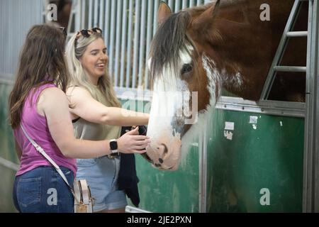 Edimburgo. Scozia, Regno Unito. 24th giugno 2022. Giorno 2 al Royal Highland Show. PIC Credit: Pako Mera/Alamy Live News Foto Stock