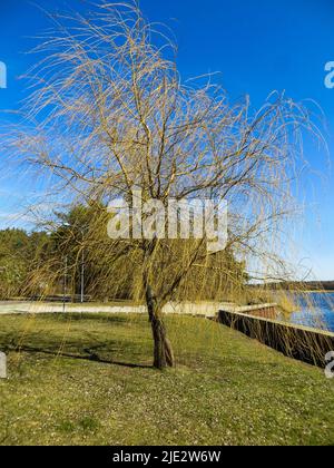 Acqua blu scuro sul fiume Lielupe in Lettonia all'inizio della primavera.Embankment Foto Stock