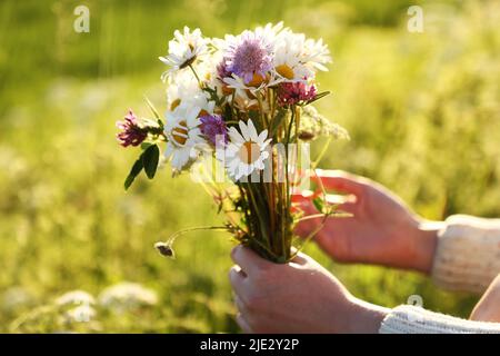 Alcune ragazze che raccolgono i fiori nel fosso lungo una strada di campagna il giorno prima della vigilia di mezza estate. Come in Norvegia e Finlandia, si ritiene che se una ragazza sceglie 7 fiori diversi in silenzio della notte di mezza estate e li mette sotto il suo cuscino, sognerà il suo futuro marito. Foto Stock