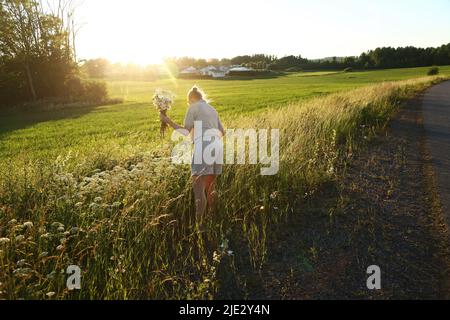 Alcune ragazze che raccolgono i fiori nel fosso lungo una strada di campagna il giorno prima della vigilia di mezza estate. Come in Norvegia e Finlandia, si ritiene che se una ragazza sceglie 7 fiori diversi in silenzio della notte di mezza estate e li mette sotto il suo cuscino, sognerà il suo futuro marito. Foto Stock