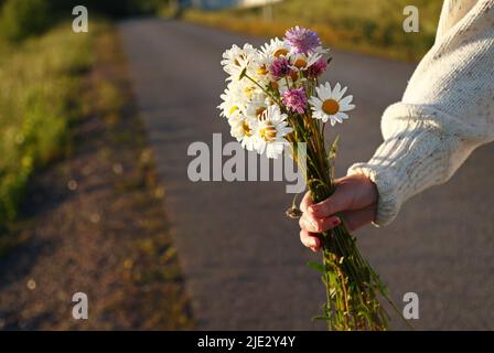 Alcune ragazze che raccolgono i fiori nel fosso lungo una strada di campagna il giorno prima della vigilia di mezza estate. Come in Norvegia e Finlandia, si ritiene che se una ragazza sceglie 7 fiori diversi in silenzio della notte di mezza estate e li mette sotto il suo cuscino, sognerà il suo futuro marito. Foto Stock