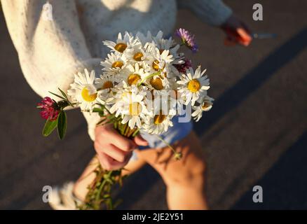 Alcune ragazze che raccolgono i fiori nel fosso lungo una strada di campagna il giorno prima della vigilia di mezza estate. Come in Norvegia e Finlandia, si ritiene che se una ragazza sceglie 7 fiori diversi in silenzio della notte di mezza estate e li mette sotto il suo cuscino, sognerà il suo futuro marito. Foto Stock