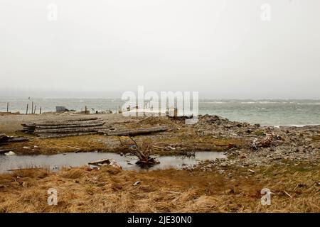Nuovo faro della Penisola di Ferolle, e la comunità Terranova Canada Foto Stock
