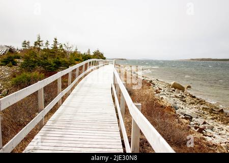 Nuovo faro della Penisola di Ferolle, e la comunità Terranova Canada Foto Stock