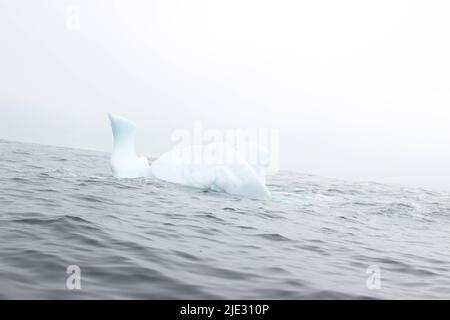 L'onda si schiantando contro un piccolo iceberg che galleggia in mare Foto Stock