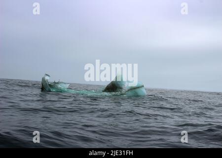 L'onda si schiantando contro un piccolo iceberg che galleggia in mare Foto Stock