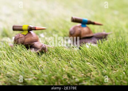 Lumache di battaglia ucraine con armatura in prestito-lease in missione Foto Stock