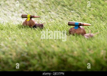 Lumache di battaglia ucraine con armatura in prestito-lease in missione Foto Stock