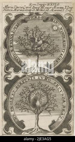 Albero con pelo / albero e pavone, judice Fulua Jovis Phaebo Hinc Nihil Eicit Ales / Me Prole et Sceptris Juno Secunda Beat (titolo sull'oggetto), Symbola Divina et Humana Pontificum Imperatorum Regum (titolo della serie), un emblema con due rappresentazioni. Sopra un albero con un pellicano. Sopra un albero con un pavone. Questi sono i motti di Maria di Borgogna e Bianca Maria Sforza, la prima e la seconda mogli dell'imperatore Massimiliano I., tipografia: anonimo, dopo la stampa di: Aegidius Sadeler (II), 1666, carta, incisione, stampa letteraria, altezza 117 mm x larghezza 65 mm Foto Stock