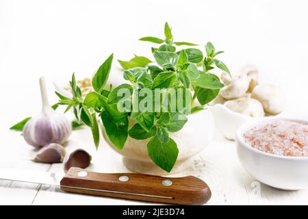 Rami di origano fresco con foglie in mortaio, champignons, sale Himalayano rosa, pinoli, aglio e un coltello su fondo di legno chiaro Foto Stock