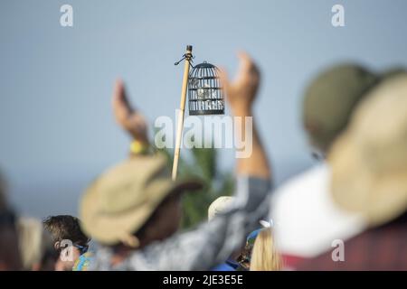 Artisti sul palco al Watchet 2021 con: Atmosphere dove: Watchet, Regno Unito quando: 31 ago 2021 credito: Anthony Stanley/WENN Foto Stock