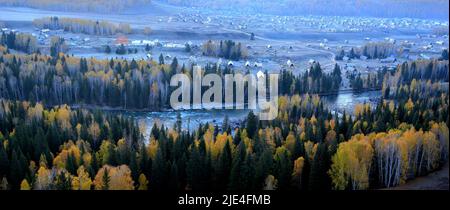 Xinjiang burqin contea altay regione il legno grano la progenie della Cina occidentale Foto Stock