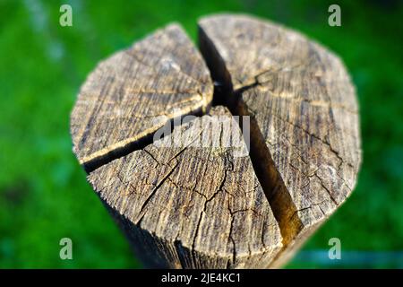 Un primo piano di una parte superiore di un blocco di legno circolare con fessure visibili e la tessitura del legno. India Foto Stock