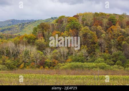 Jilin baishan jingyu contea Fusong in autunno Foto Stock