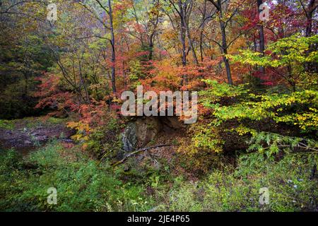 Jilin baishan jingyu contea Fusong in autunno Foto Stock