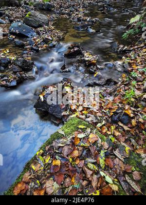 Jilin baishan jingyu contea Fusong in autunno Foto Stock