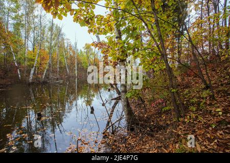 Jilin baishan jingyu contea Fusong in autunno Foto Stock