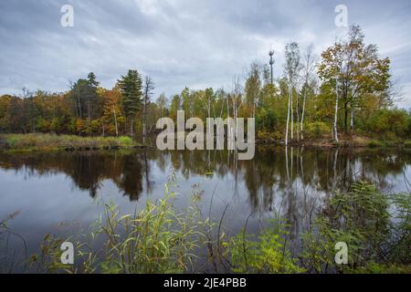 Jilin baishan jingyu contea Fusong in autunno Foto Stock