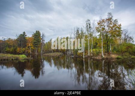 Jilin baishan jingyu contea Fusong in autunno Foto Stock