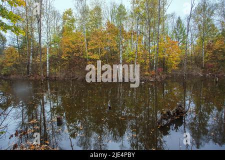 Jilin baishan jingyu contea Fusong in autunno Foto Stock