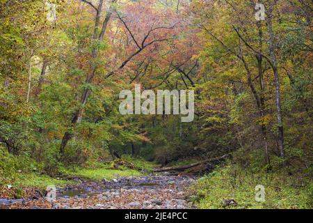 Jilin baishan jingyu contea Fusong in autunno Foto Stock