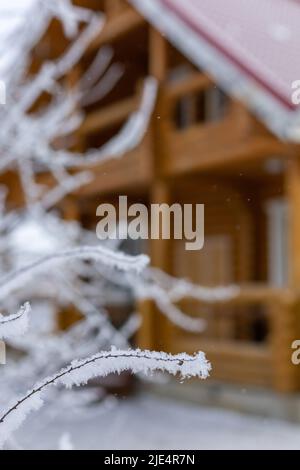 Fuoco morbido su piccoli rami sottili coperti con gelo in primo piano e grande casa cottage in legno sullo sfondo. Avere riposo in paese lontano da grandi Foto Stock