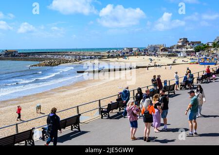 Lyme Regis, Dorset, Regno Unito. 25th giugno 2022. UK Meteo: I visitatori e la gente del posto fanno il meglio di incantevoli incantesimi caldi e soleggiati in una giornata calda, ma blustery alla stazione balneare di Lyme Regis. Si prevede che il sole si rompa più tardi, poiché la pioggia e il tempo tuono vengono dall'Occidente portando in condizioni più umide e mutevoli. Credit: Celia McMahon/Alamy Live News Foto Stock