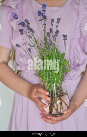 Ragazza giovane in un abito di lavanda pallido che tiene un vaso contenente fiori di lavanda appena raccolti su uno sfondo bianco Foto Stock