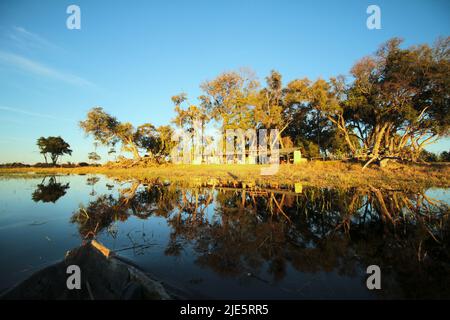 Giro in mokoro al tramonto nel Delta dell'Okavango Foto Stock