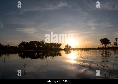 Giro in mokoro al tramonto nel Delta dell'Okavango Foto Stock