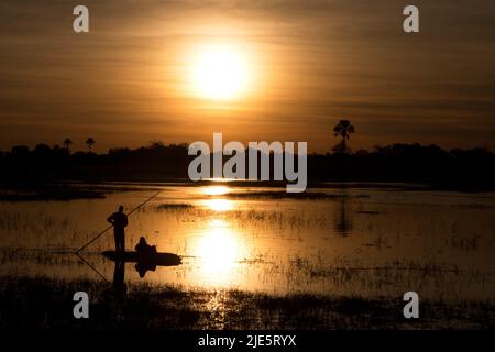 Giro in mokoro al tramonto nel Delta dell'Okavango Foto Stock