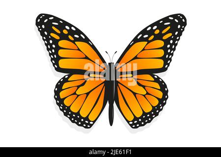 Farfalla monarca (Danaus plexippus). Concetto di natura selvaggia Illustrazione Vettoriale